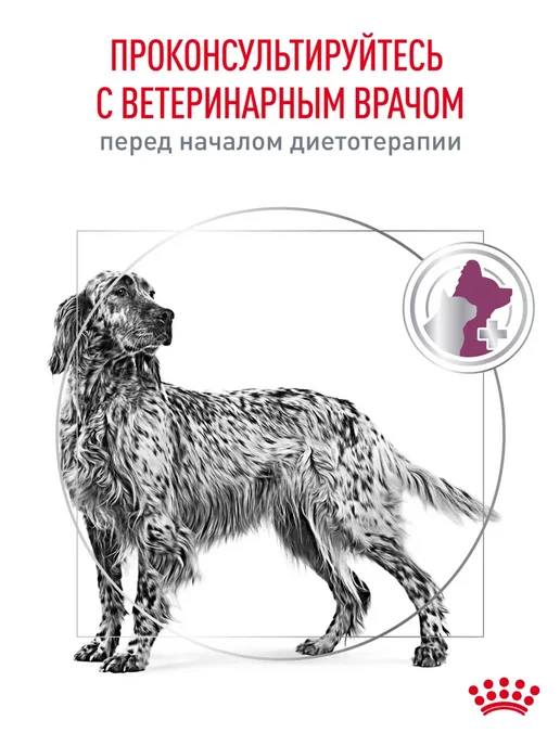 Сухой корм Royal canin Поддержания Почек для собак, 2 кг, фото 7