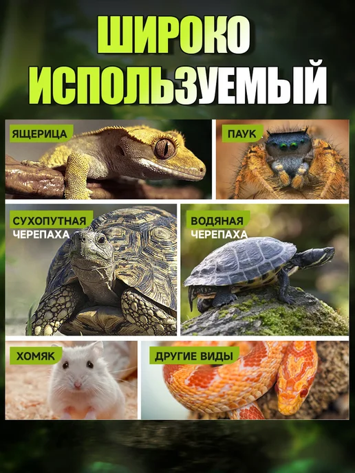 Кормушка поилка для рептилий и черепах в террариум, зеленый, фото 7