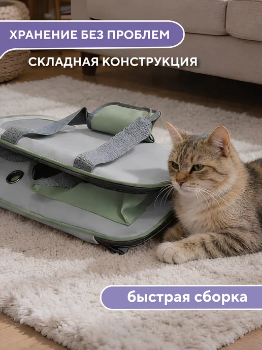 Conflate Переноска для кошек большая, зеленый, фото 3