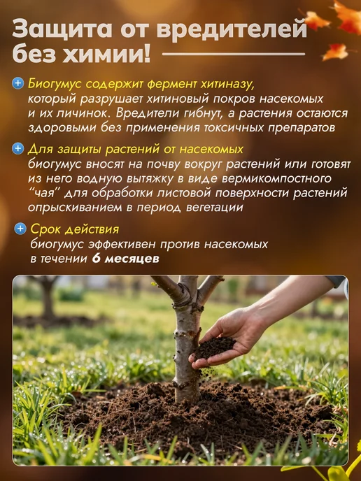 Росток Грин Биогумус сухой для растений и рассады концентрат, 20л, 20 л, фото 3