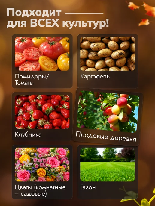 Росток Грин Биогумус сухой для растений и рассады концентрат, 20л, 20 л, фото 5