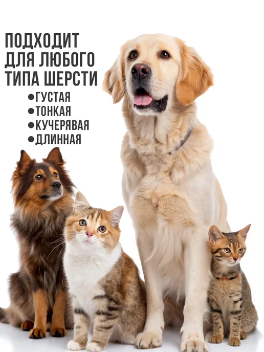 VGR Машинка для стрижки собак и кошек 4 в 1, желтый, фото 4
