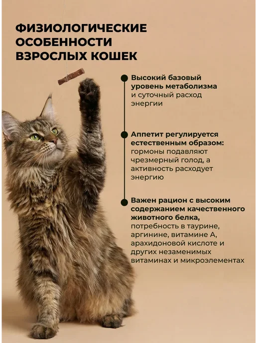Сухой корм Farmina. Кошек Кабаном для собак, 1,5 кг, фото 4