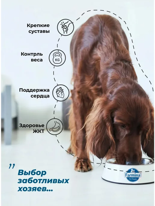 Сухой корм Farmina Farmina. для собак, крупные, средние, ягненок, 12 кг, фото 2