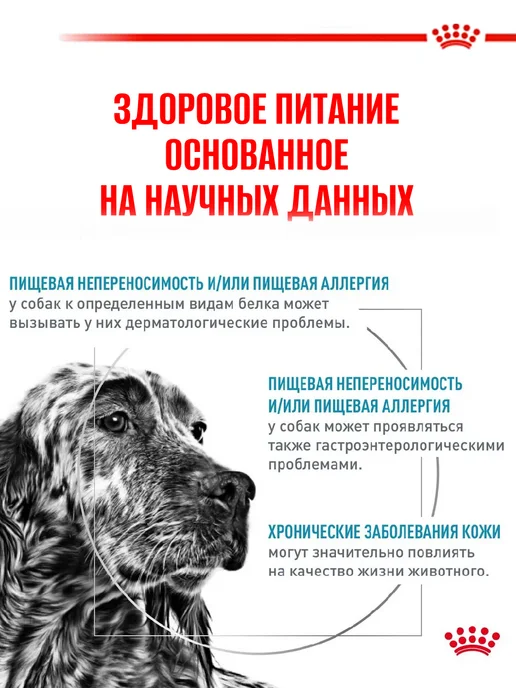 Сухой корм Royal Canin Veterinary Diet Hypoallergenic Пищевой для собак, 7 кг, фото 2