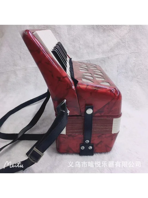 Yinyue 22-клавишный 8-басовый аккордеон, красный, в упаковке 3 кг, фото 2