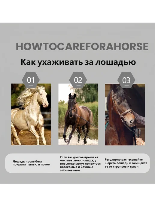 Соскоб пота для лошадей, вариант, фото 4