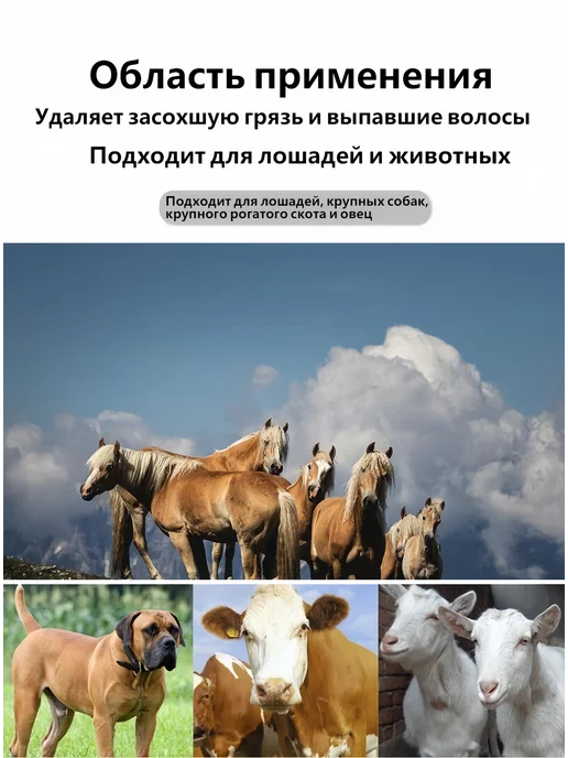 Соскоб пота для лошадей, вариант, фото 8