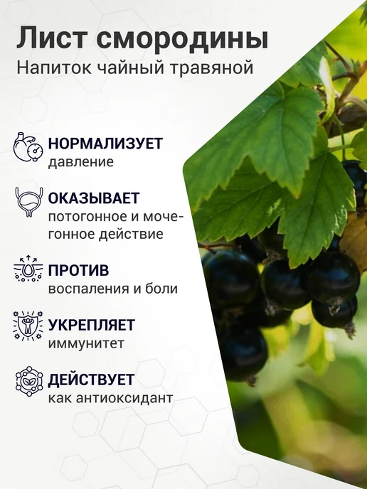 Биолит. Природная аптека Сибири Витамин С для иммунитета Лист смородины натуральный, вариант, фото 2