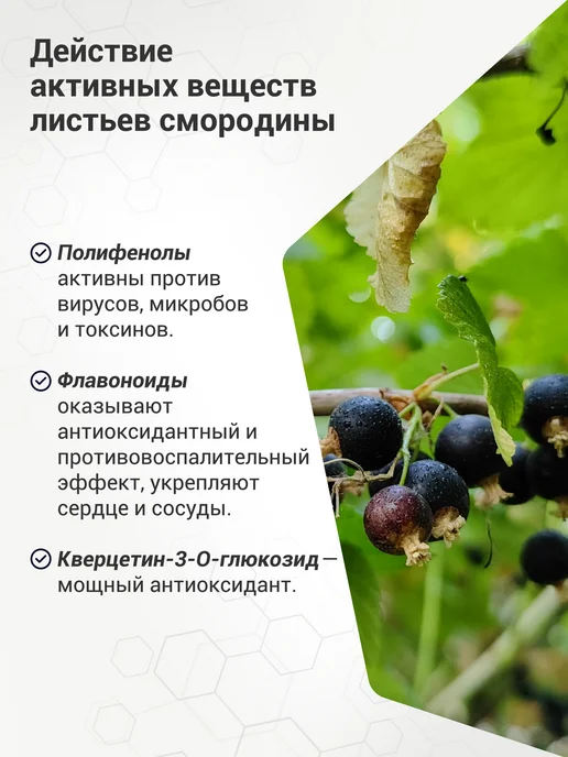 Биолит. Природная аптека Сибири Витамин С для иммунитета Лист смородины натуральный, вариант, фото 3