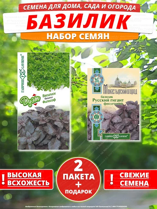 Семена базилик для дома сада посадки, вариант