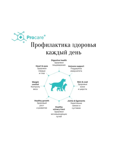 Сухой корм PREMIER Нормальной Активностью… для собак, мелкие, 8 кг, фото 3