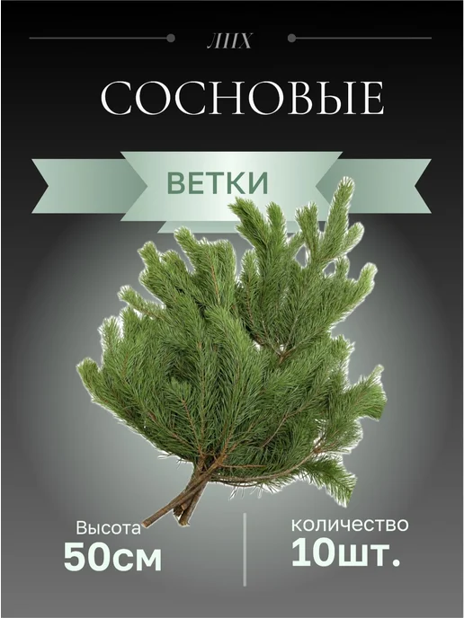 Живые сосновые ветки 10 штук, вариант