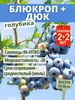 Интернет‑магазин Wildberries: широкий ассортимент товаров - скидки каждый день!