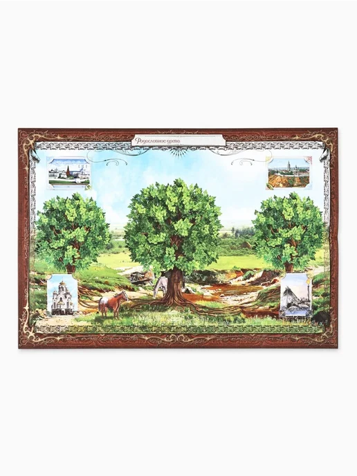 Нет бренда Родословная книга "Семейная летопись", 16,5х24 см, 16.5x24 см, фото 4