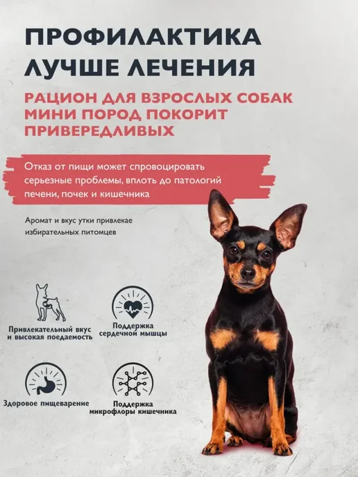 Сухой корм Brit care Привередливых Вкусу для собак, индейка, 0,8 кг, фото 3