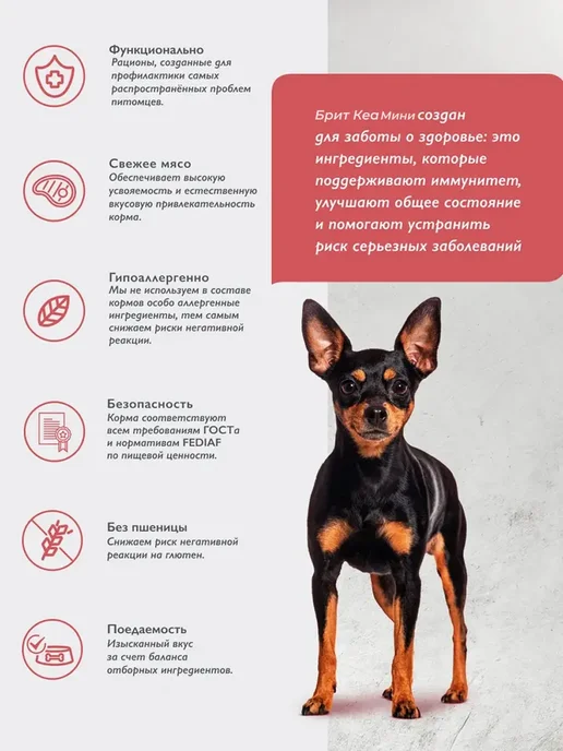 Сухой корм Brit care Привередливых Вкусу для собак, индейка, 3 кг, фото 5