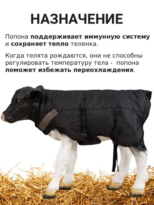 AstikonSnab Попона для телят утепленная, черный, фото 2