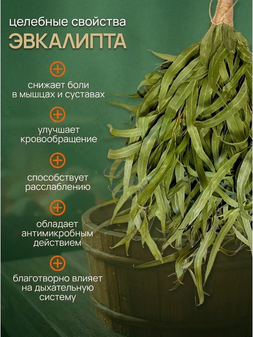 Аль-Бан Веник для бани эвкалиптовый (Ручкой), вариант, фото 2