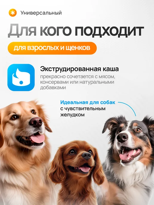 МОЙ ПЁС@MODERNDOG Гречневая каша для собак без варки на мясном бульоне, 500 гр, 500 г, фото 4