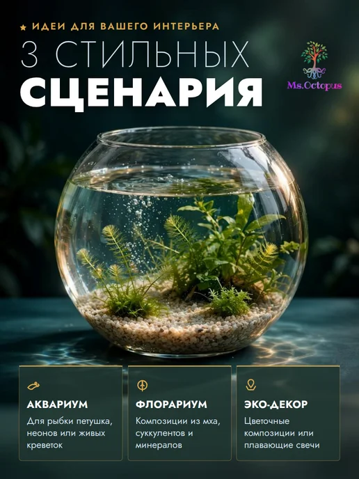 Ms.Octopus Круглый мини аквариум, бокал, ваза для декора, рыбок,6.3 л, 3 л, фото 2