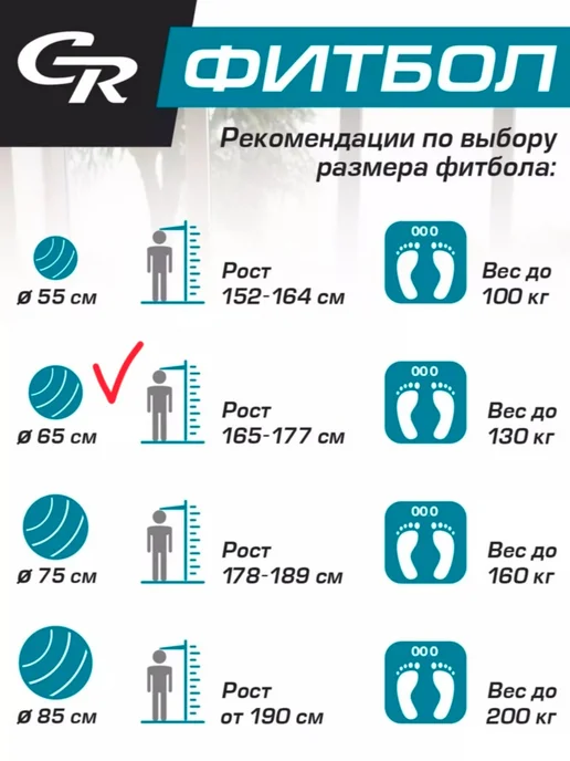 City-Ride Мяч гимнастический для фитнеса фитбол, 75 см, розовый, фото 5