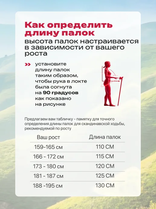 Puffin Палки для скандинавской ходьбы складные треккинговые гор, черный, фото 4