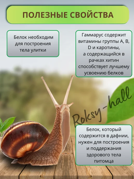 Аквакулинар Сухой белковый корм для улитки 15г, 15 г, фото 3