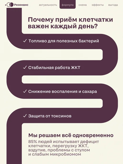 Клетчатка с псиллиумом, инулином и лисичками,500г пребиотик, 500 г, фото 4