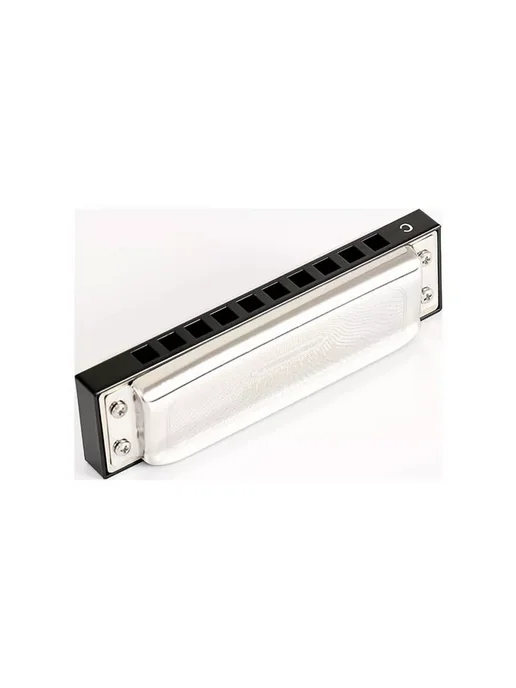 EASTTOP Губная гармоника диатоническая PRO20 FRISSON A, серый, фото 2