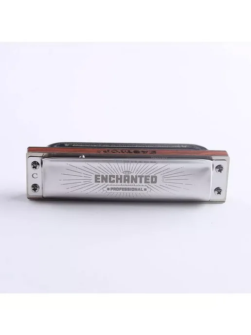EASTTOP Губная гармоника диатоническая PRO30 ENCHANTED G, серый, фото 8