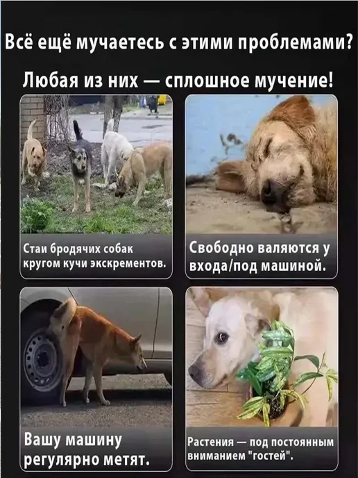 Антигадин для собак отпугиватель спрей, вариант, фото 2