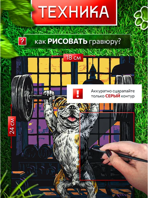 Эксклюзивно от LORI Гравюра для творчества Собаки скретч картина 4 шт. 18*24 см, 18x24 см, 4 шт, фото 3