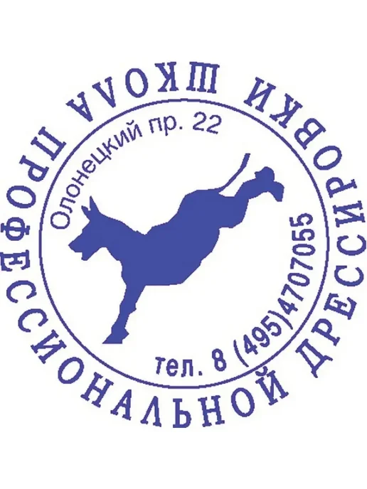 Colop Оснастка для печати, синий, фото 4