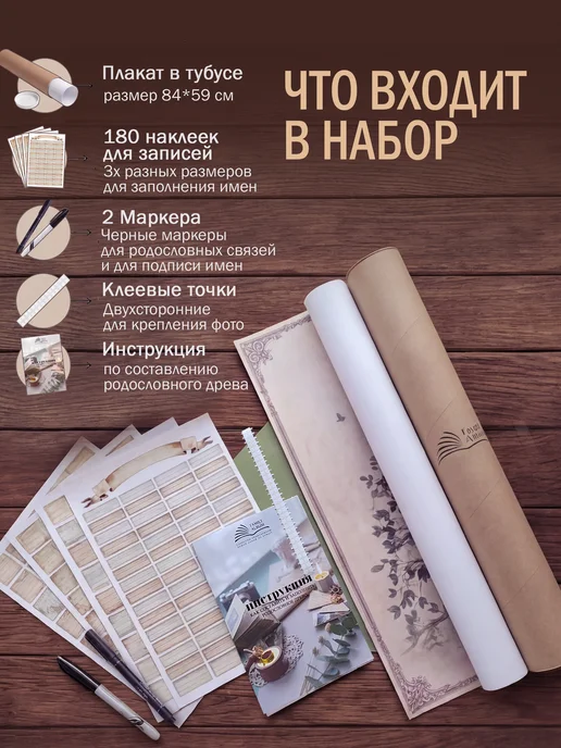 FAMILY ALBUM Семейное древо. Родословный плакат с наклейками, вариант, фото 2
