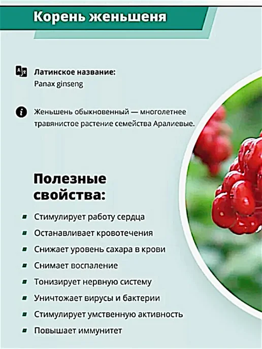 ВОКРУГ СВЕТА КК Цикорий Здоровье Селекционный гранулированный 300г, 255 г, фото 7