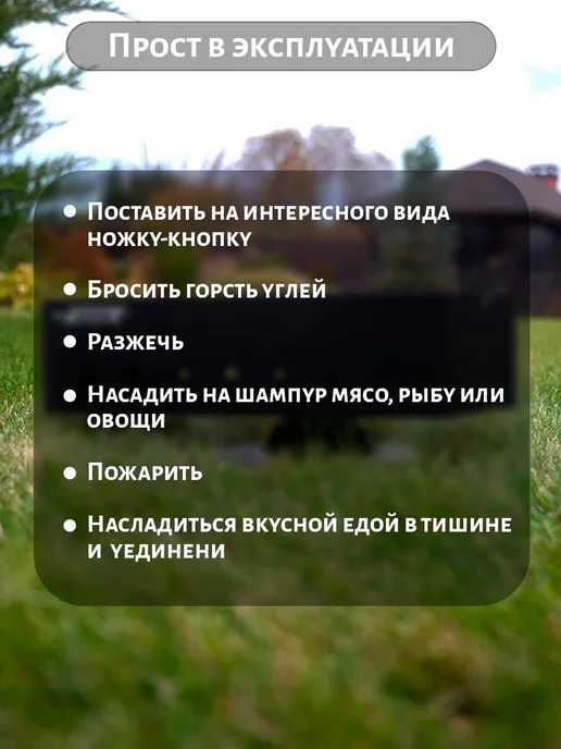 Мангал Эгоист для одного шампура, черный, фото 8