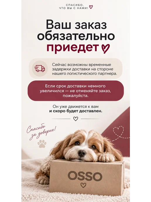 OSSO-fashion Дождевик для собак мелких пород комбинезон девочки, серый, фото 7