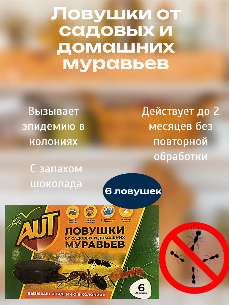Ловушки от садовых и домашних муравьев