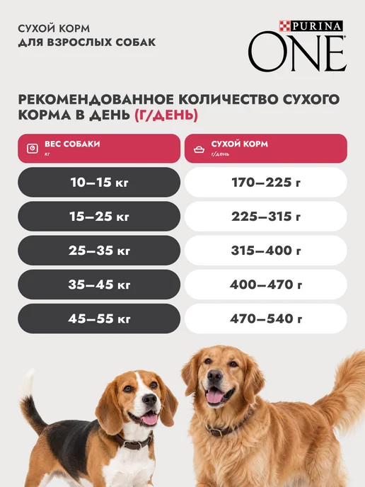 Сухой корм PURINA ONE для собак, ягненок, 10 кг, фото 6