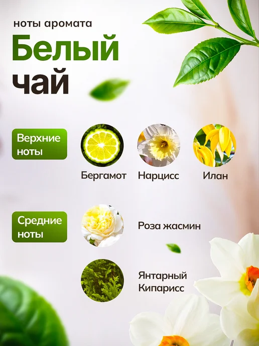TexnoParts Сменный блок для аромадиффузора, белый, в упаковке 100 г, фото 2