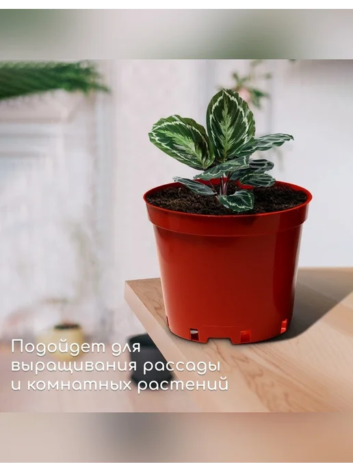 Greengo Горшок для рассады 10 л, d=29 см, коричневый, 10 л, фото 2
