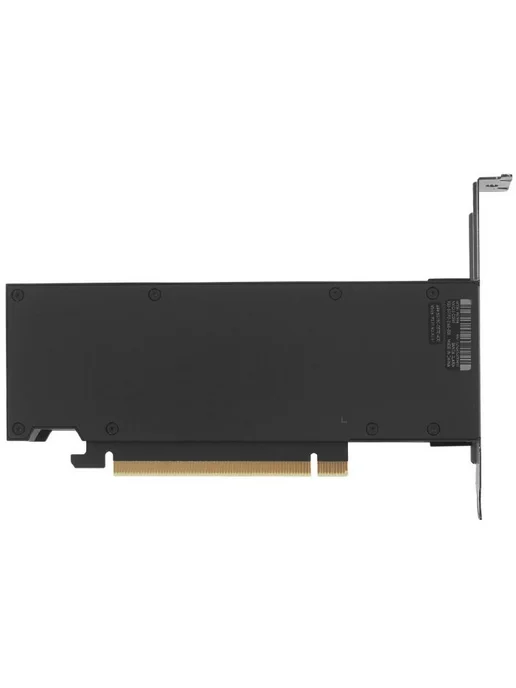NVIDIA Видеокарта PCI-E RTX 2000 Ada (900-5G192-2240-000) 16GB, 16 ГБ, фото 2