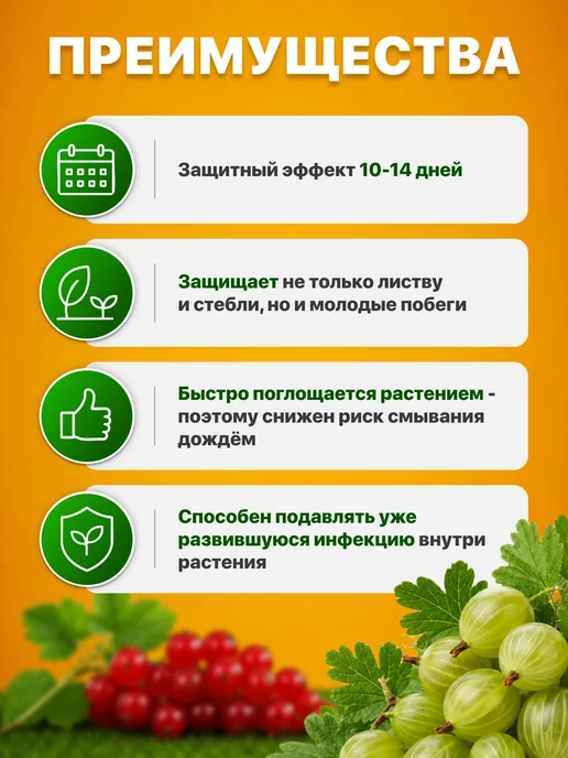 Avgust Средство защиты растений Топаз, 5шт по 2мл, 2 мл, фото 3