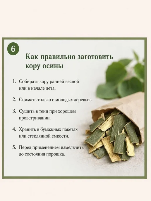 Кора осины молотая 300 г (порошок, натуральная), 300 г, фото 6