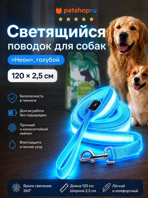PetShop Светящийся поводок для собак "Неон", голубой, 120*2,5 см, 120x2.5 см
