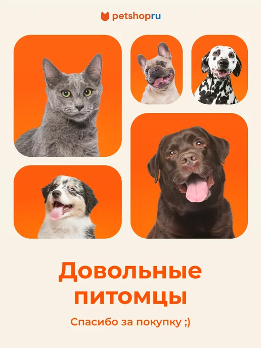 PetShop Светящийся поводок для собак "Неон", голубой, 120*2,5 см, 120x2.5 см, фото 8