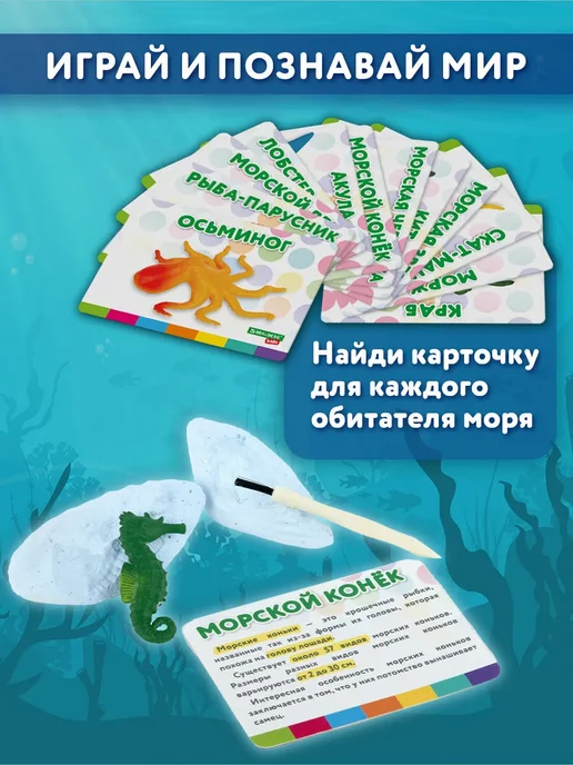 Brauberg Раскопки для детей Морские животные подарочный набор, голубой, фото 5