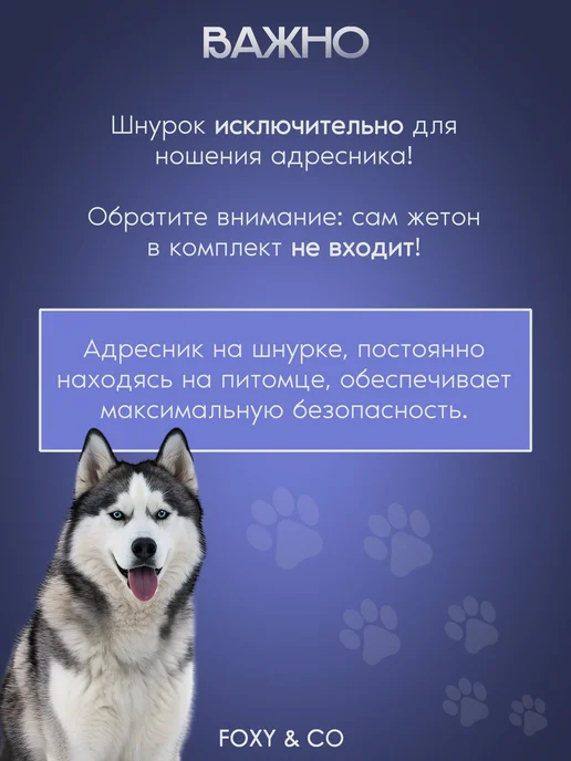 FOXY & CO Шнурок для адресника для собак, силиконовый, голографический, оранжевый, фото 4