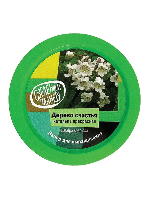 ВЫРАСТИ ДЕРЕВО! Набор для выращивания растений "Дерево счас, вариант, фото 2